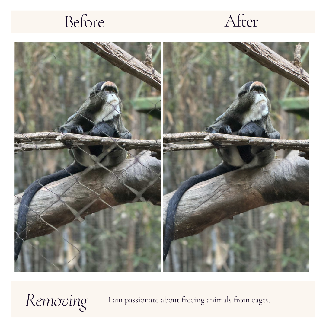 Monkey before  & after
